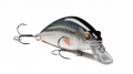 EG-161-SP Shifty Shad 60SP EG-161-SP Shifty Shad 60SP