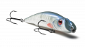 EG-024F Darter-R King 105 EG-024F Darter-R King 105