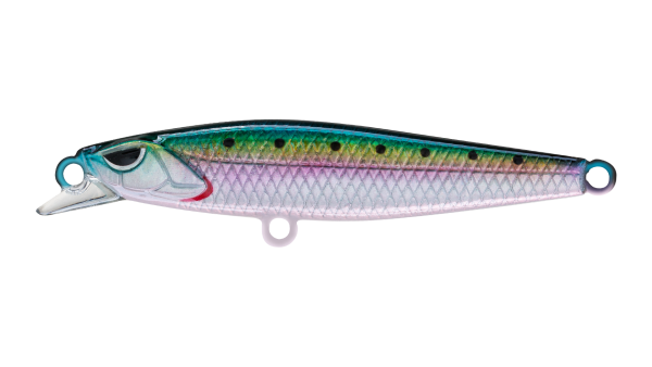 EG-241