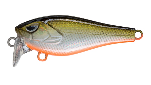 EG-239