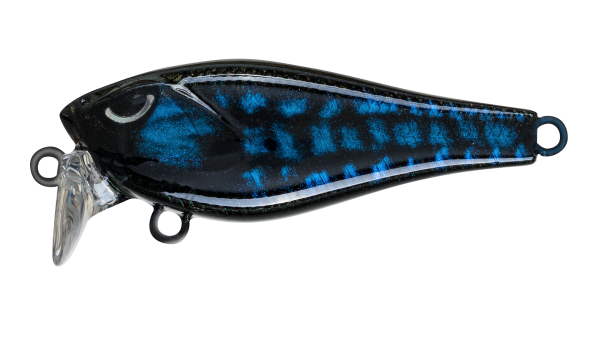 EG-239