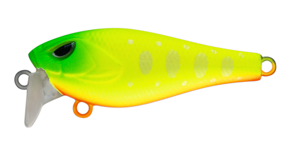 EG-239