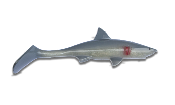 Силиконовая приманка Kanalgratis Shark Shad, цвет: Great White, (SS-GW-06)