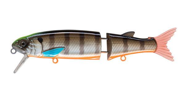 EG-157(SP)