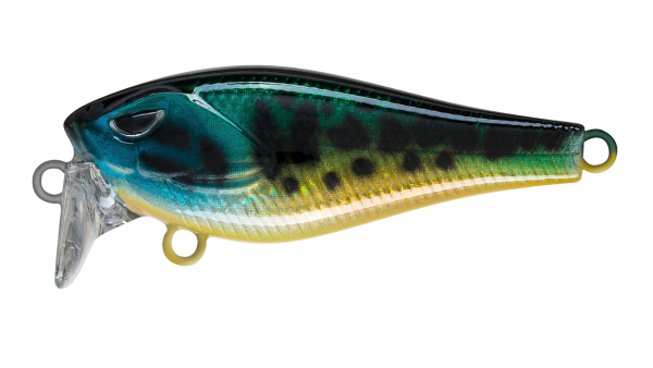 EG-239