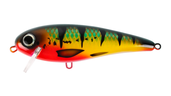 EG-205