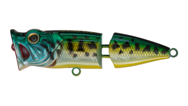 SH-002CJ