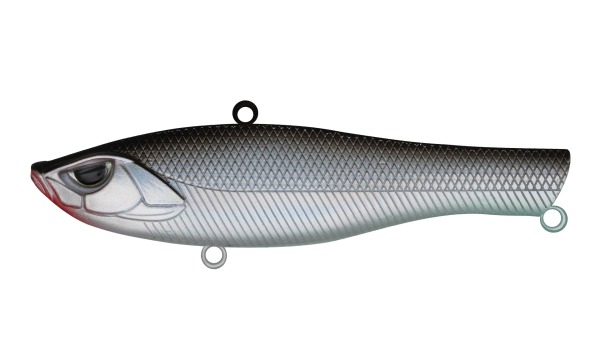 EG-259B-30g