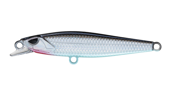EG-241