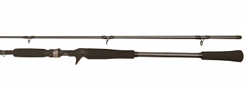 Спиннинг BFT Raptor G2 Pike Multi 8' -100g, 2-частник с курком