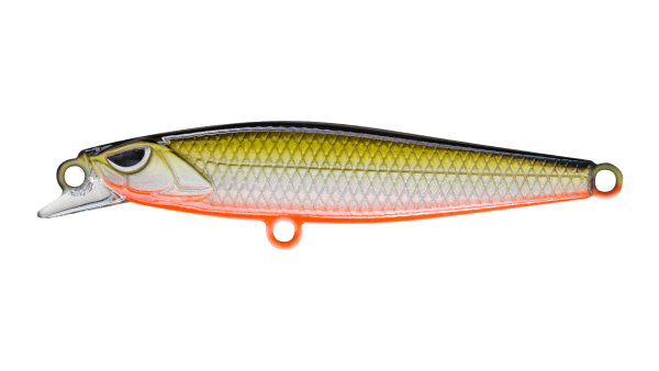 EG-241