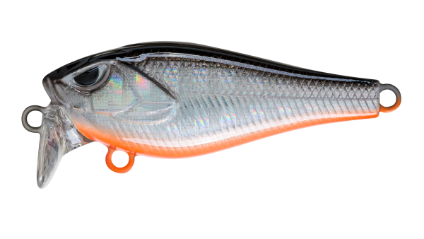 EG-239