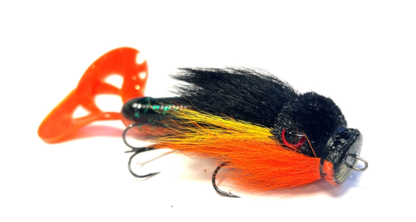 Black Pike- tail Tomato-Jiggar