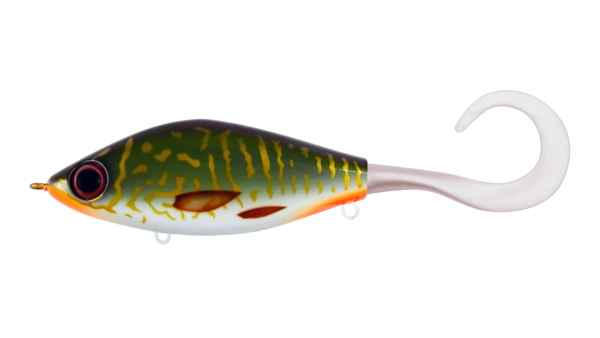 EG-208A