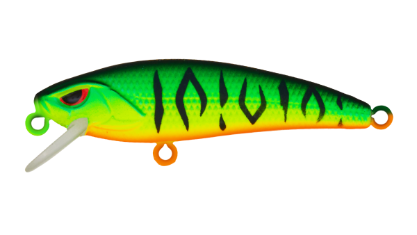 EG-244(S)