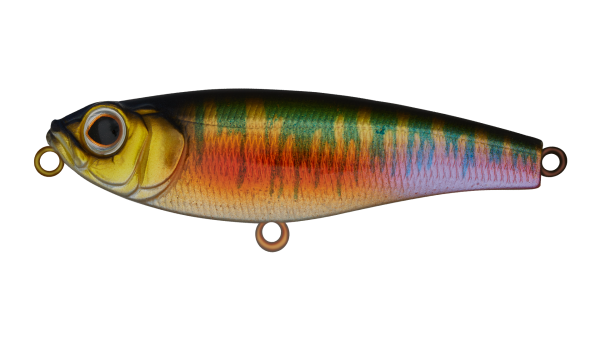 EG-141B(S)