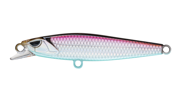 EG-241