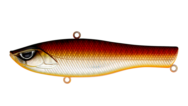 EG-259B-40g