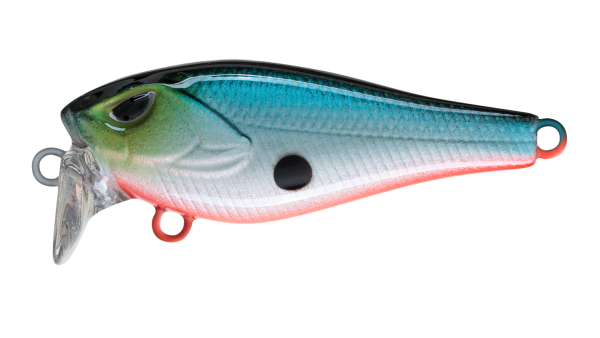 EG-239
